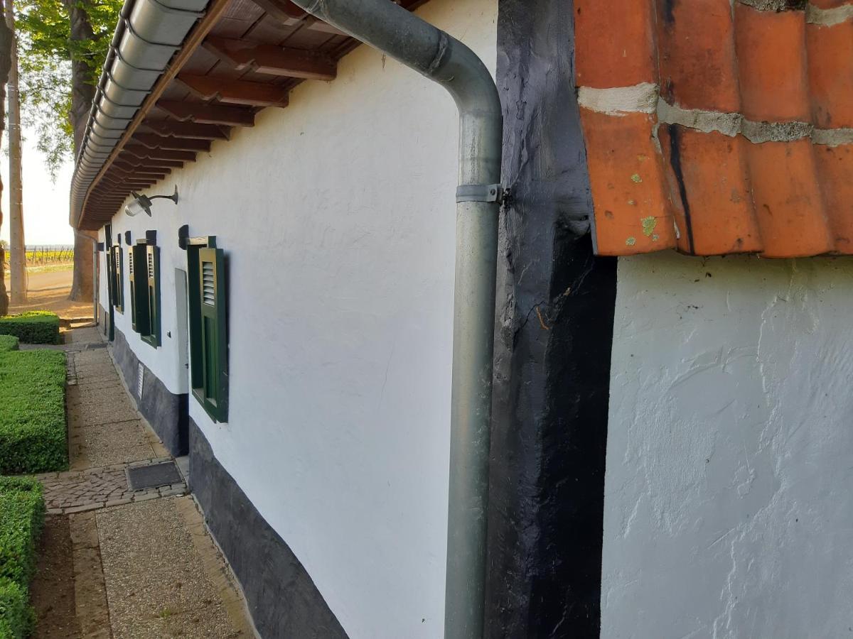 Lemen Huis Houwaart Tielt المظهر الخارجي الصورة